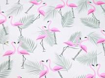 Egészségügyi kiskönyv borító